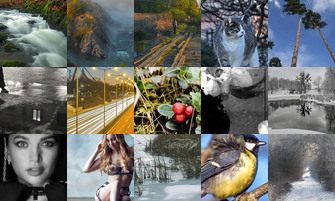 Картина дня