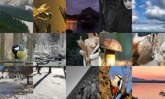 Картина дня