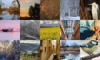 Картина дня