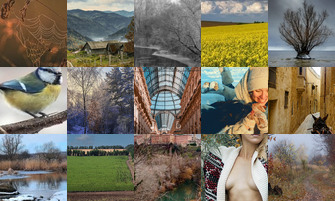 Картина дня