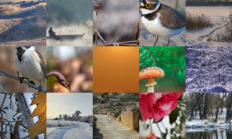 Картина дня