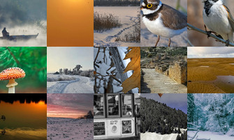 Картина дня