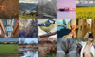 Картина дня