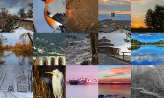 Картина дня