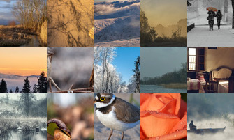 Картина дня