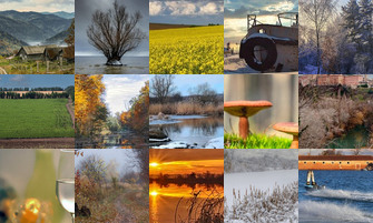 Картина дня