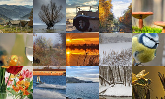 Картина дня