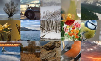 Картина дня