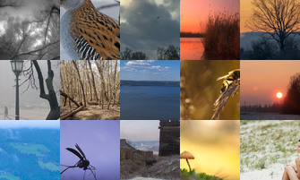 Картина дня