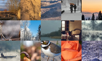 Картина дня