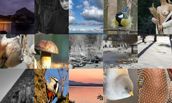 Картина дня