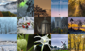 Картина дня