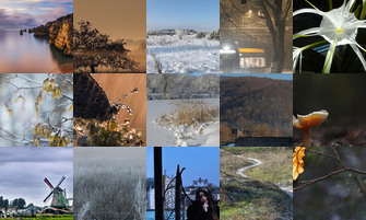 Картина дня