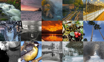 Картина дня