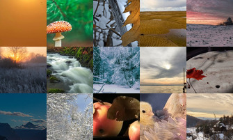 Картина дня