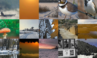 Картина дня