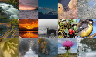 Картина дня