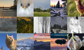 Картина дня