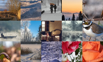 Картина дня