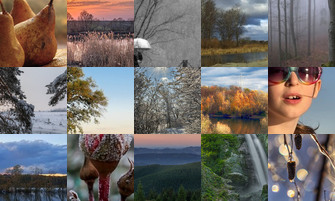 Картина дня