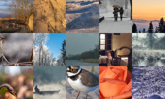 Картина дня