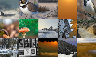 Картина дня