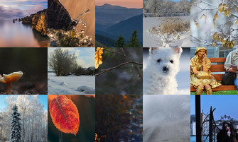 Картина дня