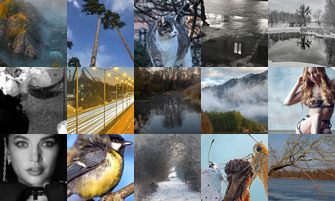 Картина дня