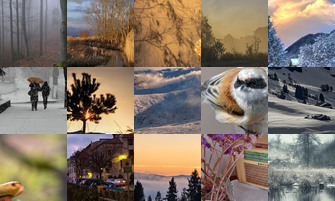 Картина дня