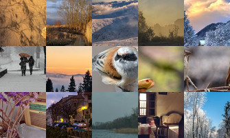 Картина дня