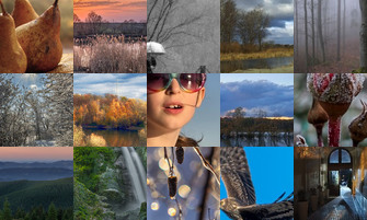 Картина дня