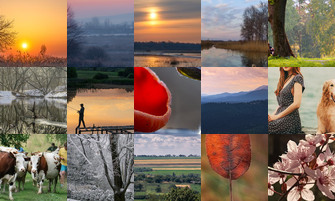 Картина дня