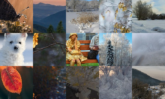 Картина дня