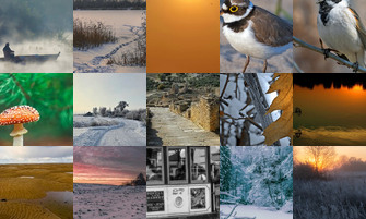 Картина дня