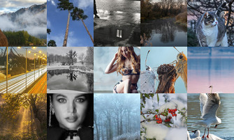 Картина дня