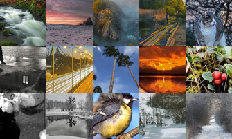 Картина дня