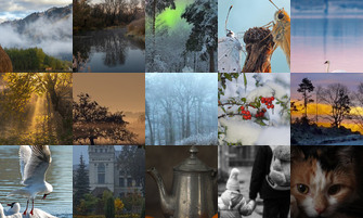 Картина дня