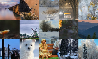 Картина дня