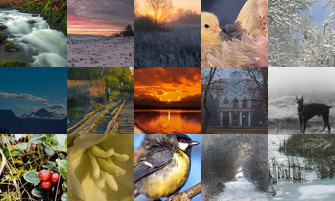 Картина дня