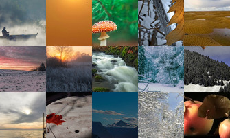 Картина дня