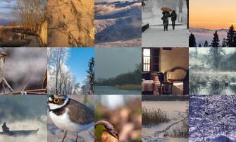 Картина дня