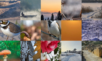 Картина дня