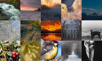 Картина дня