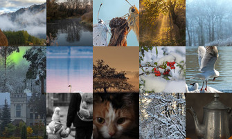 Картина дня