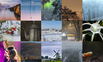 Картина дня