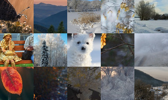 Картина дня