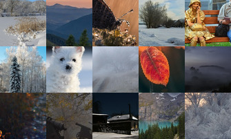 Картина дня