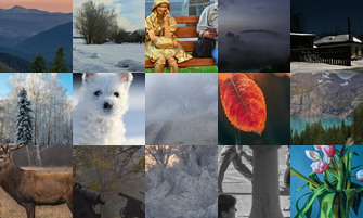 Картина дня