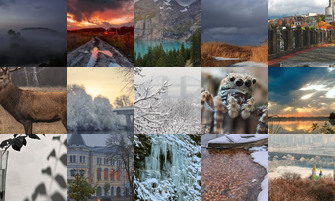 Картина дня