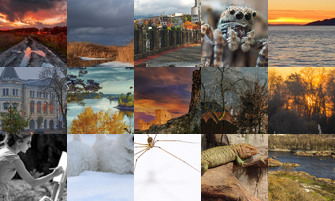 Картина дня